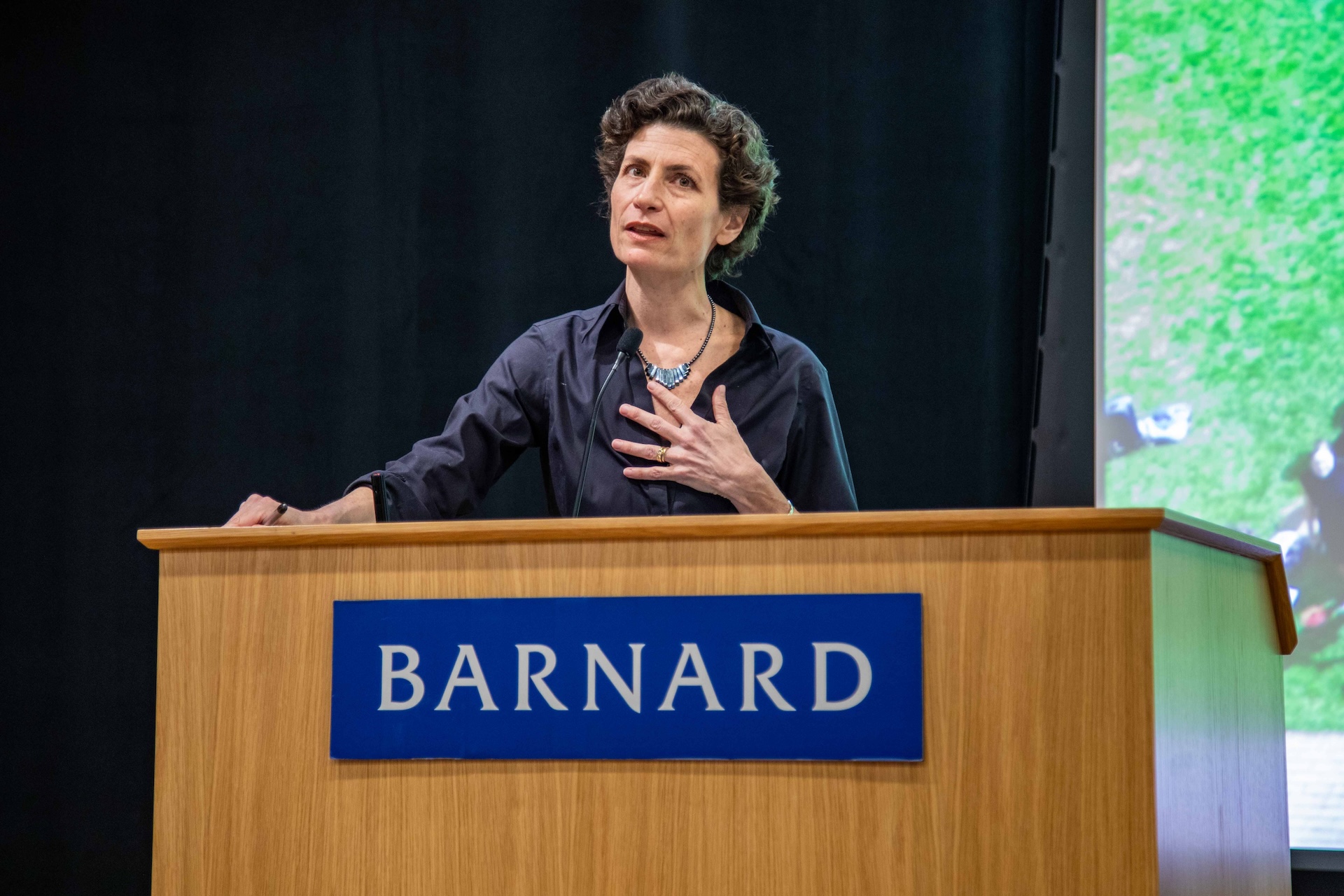 Sandra Goldmark Climate Across Scales 2025